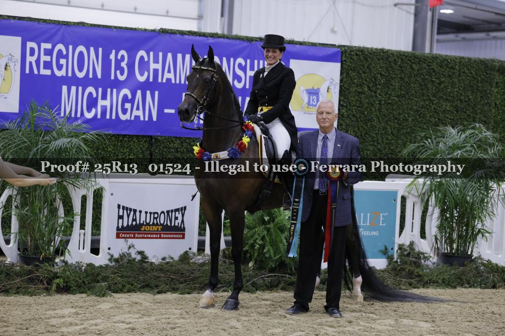 Proof 25R13_01524