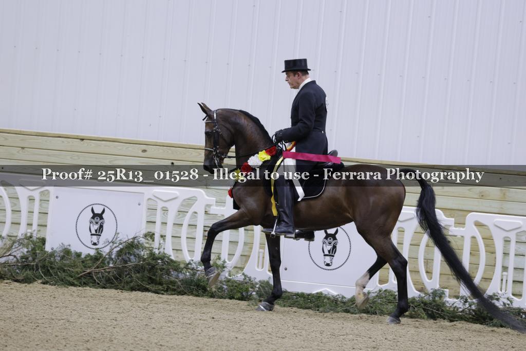 Proof 25R13_01528