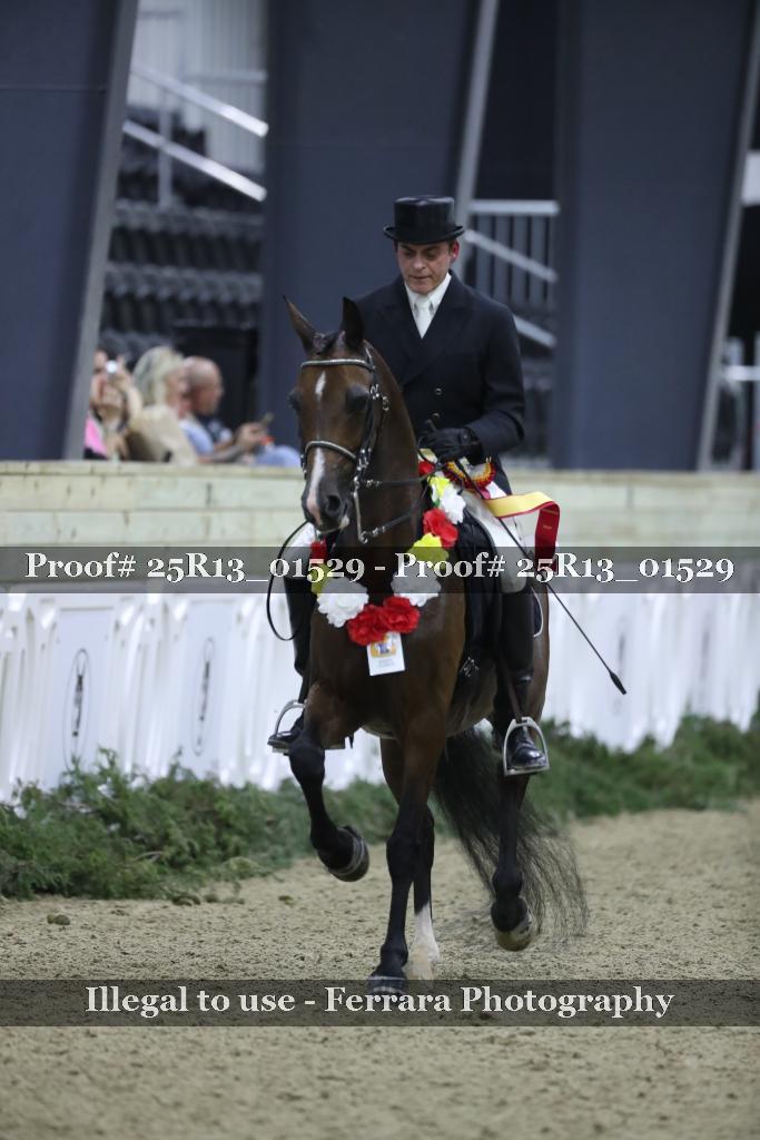 Proof 25R13_01529