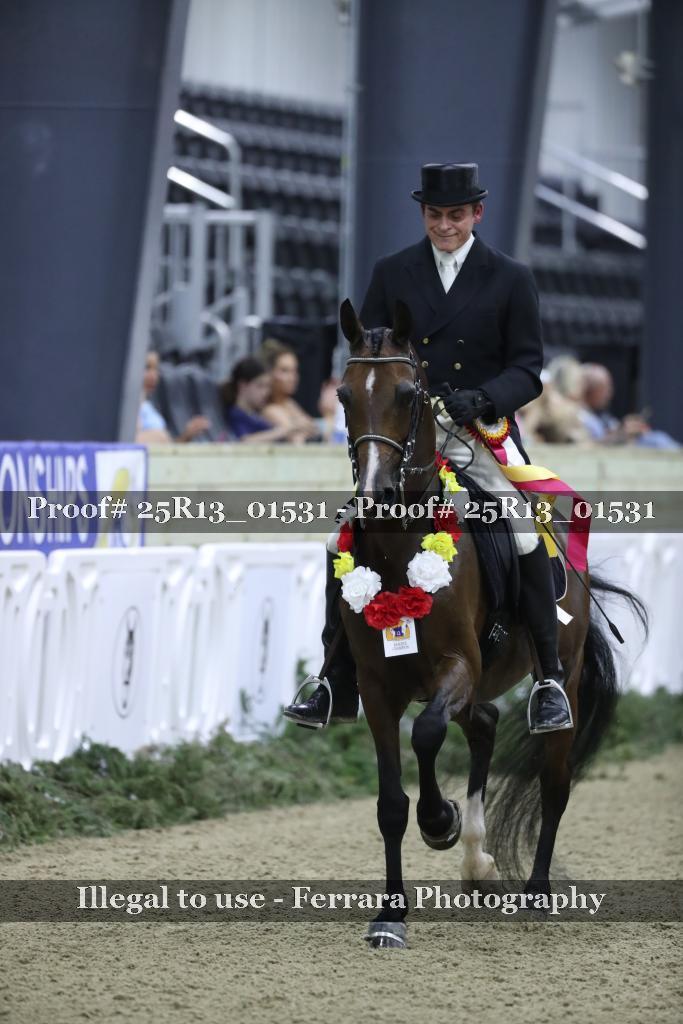 Proof 25R13_01531