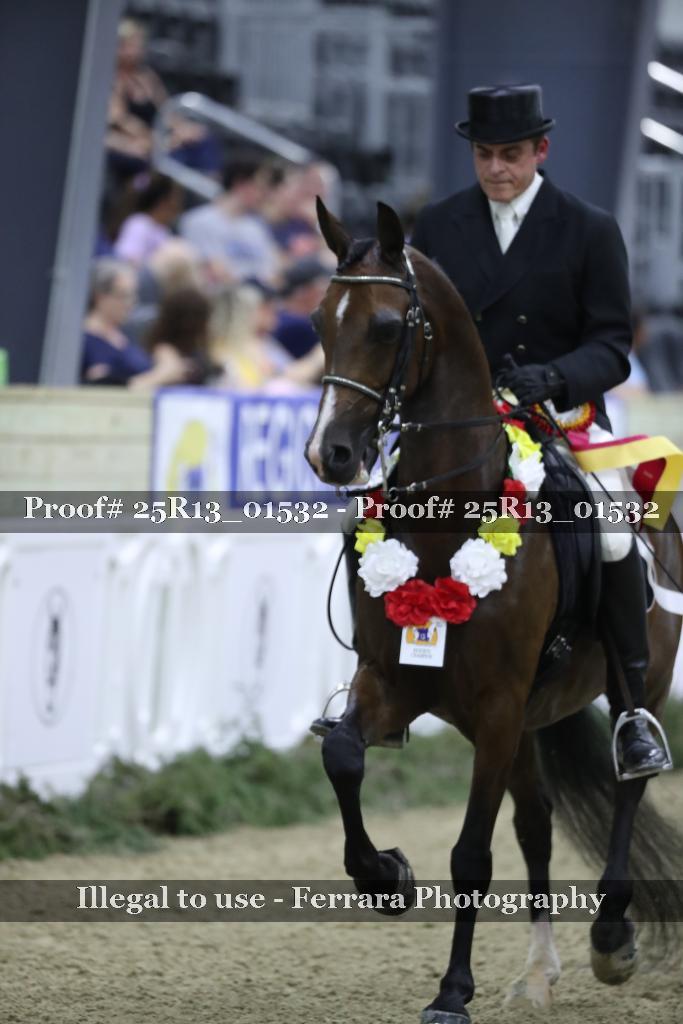 Proof 25R13_01532