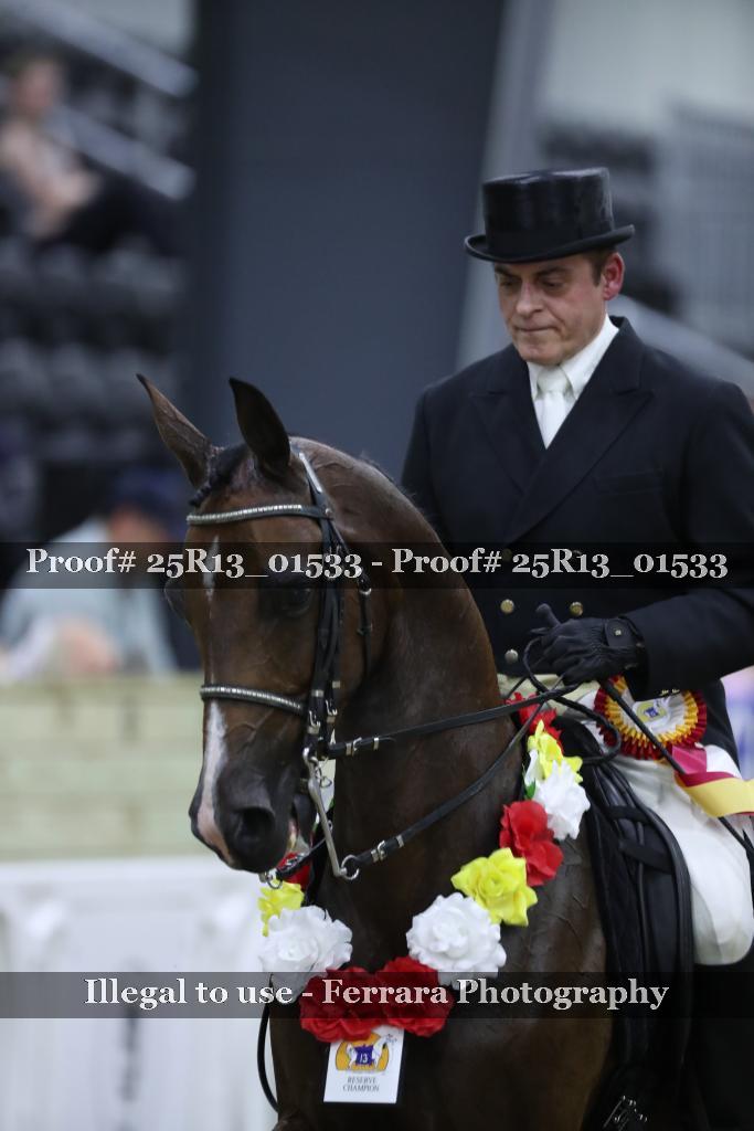 Proof 25R13_01533