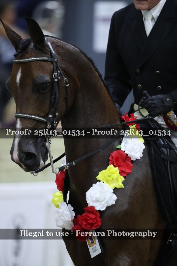 Proof 25R13_01534