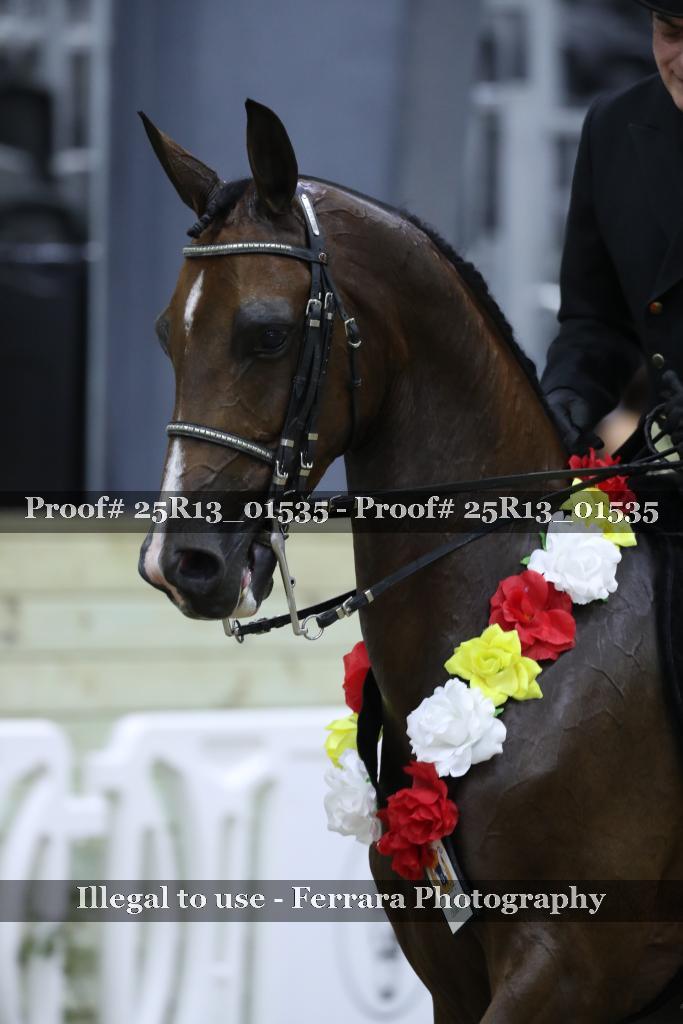 Proof 25R13_01535