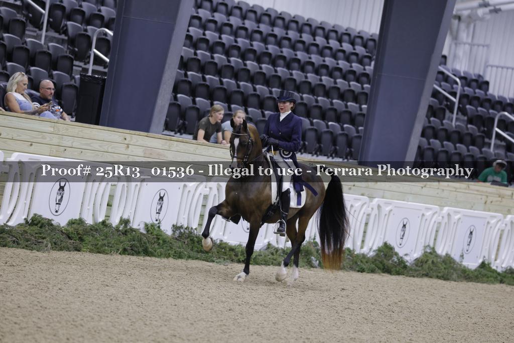 Proof 25R13_01536