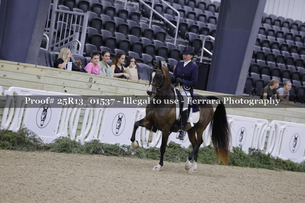 Proof 25R13_01537