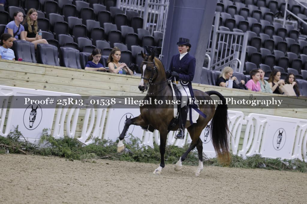 Proof 25R13_01538