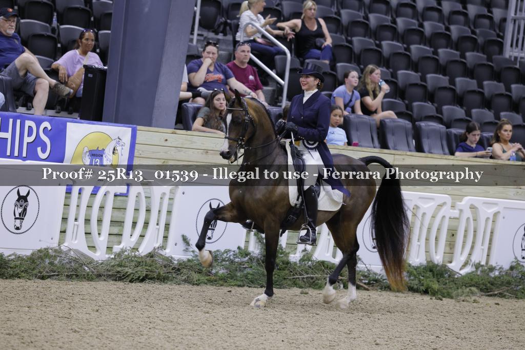 Proof 25R13_01539