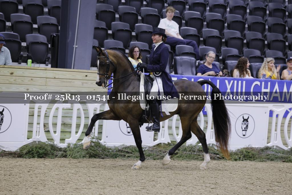 Proof 25R13_01541