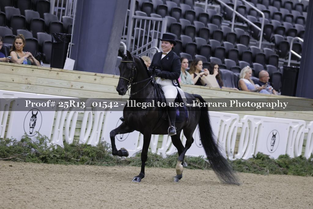 Proof 25R13_01542