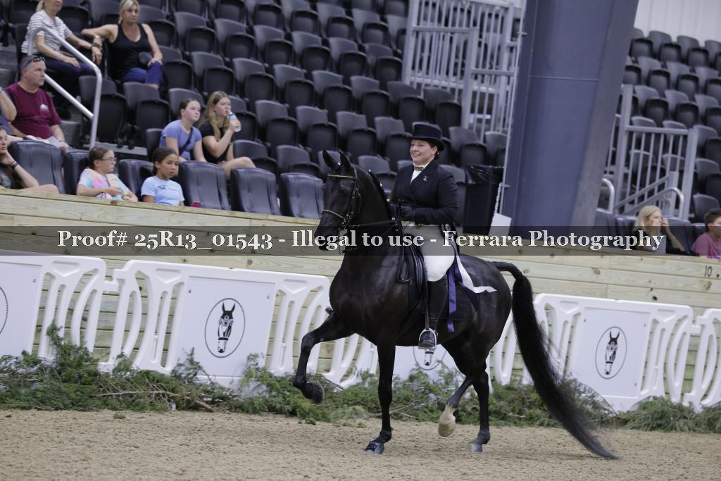 Proof 25R13_01543