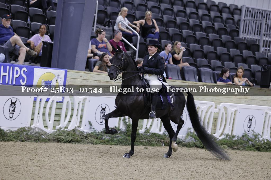 Proof 25R13_01544