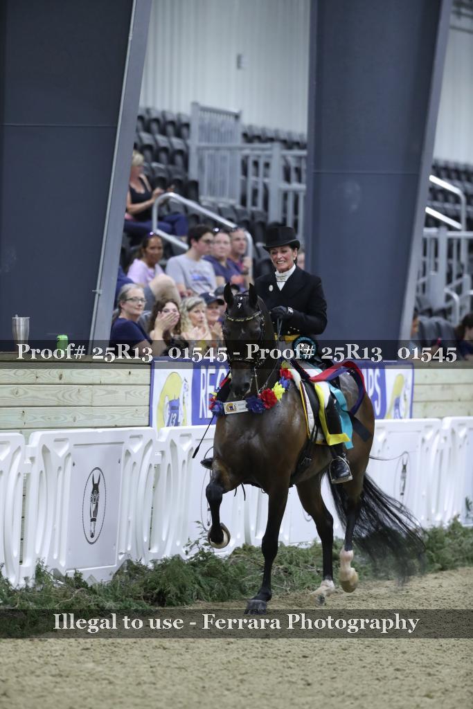 Proof 25R13_01545