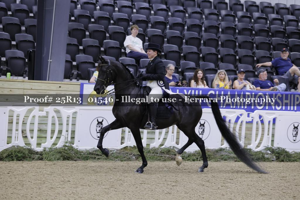 Proof 25R13_01546