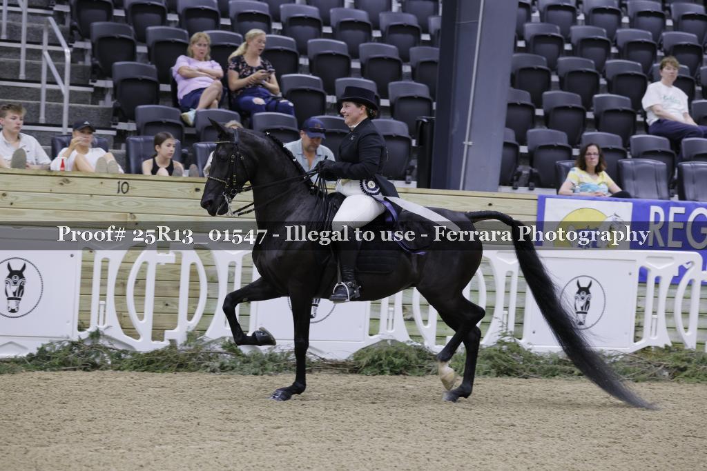 Proof 25R13_01547