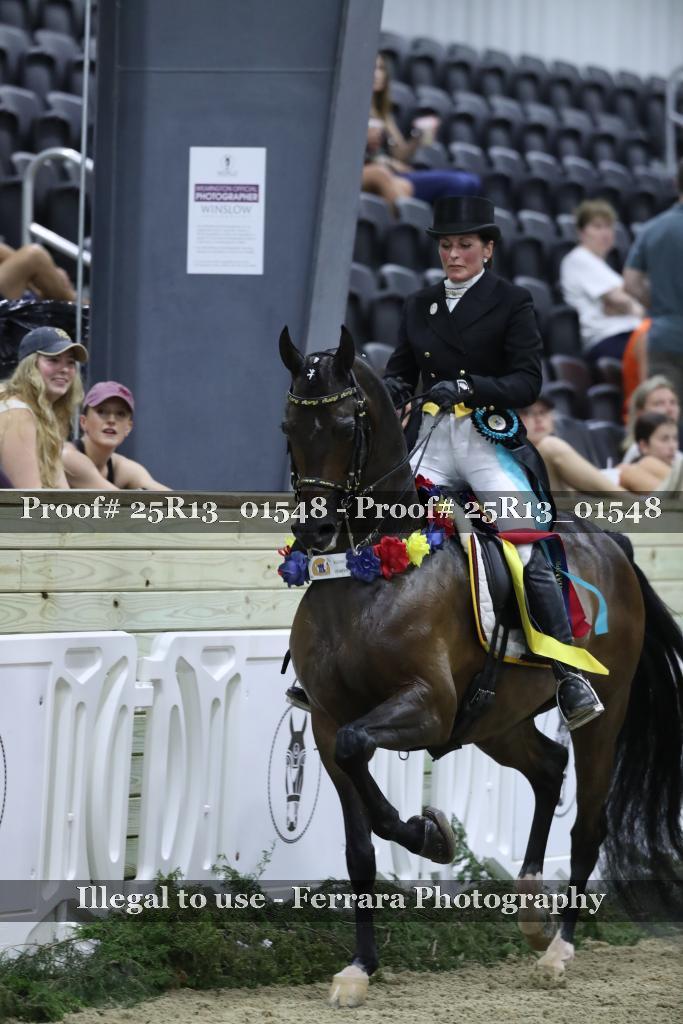 Proof 25R13_01548