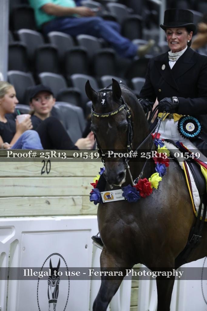 Proof 25R13_01549