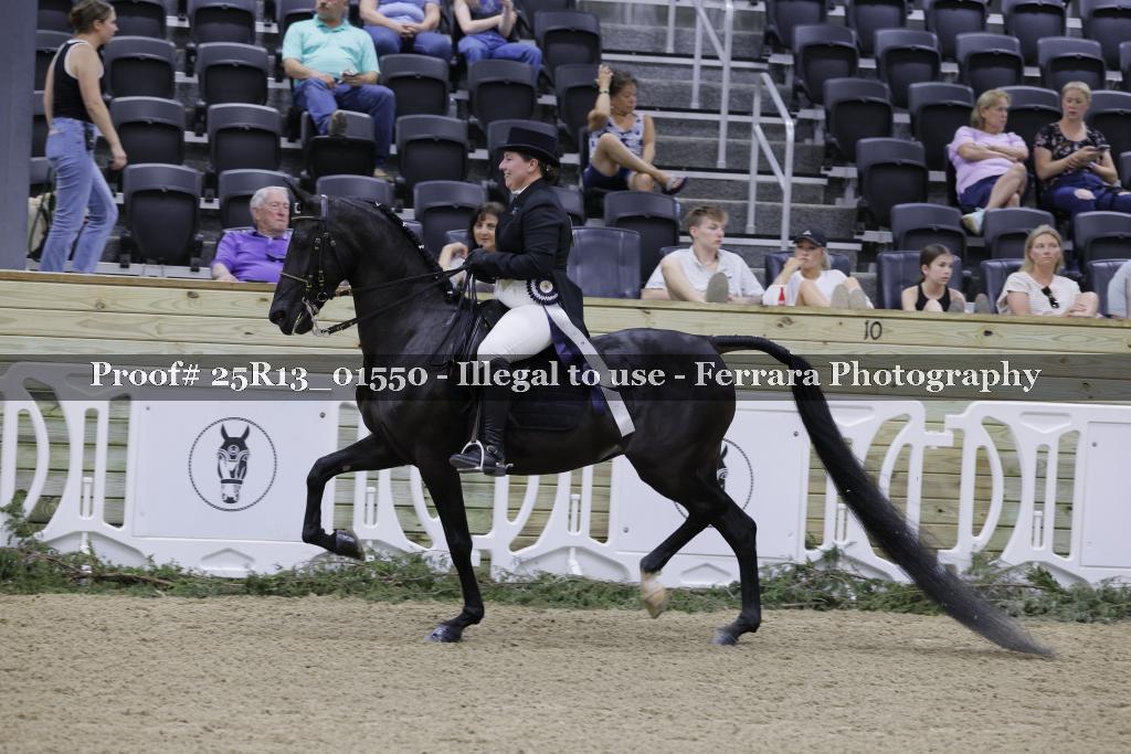Proof 25R13_01550