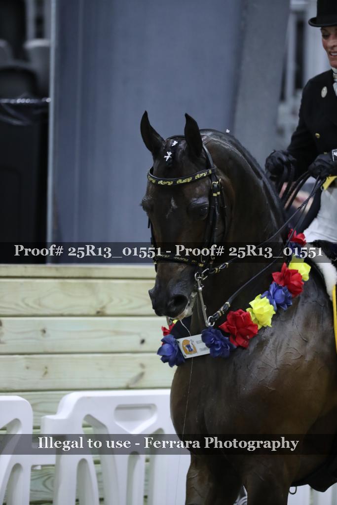 Proof 25R13_01551