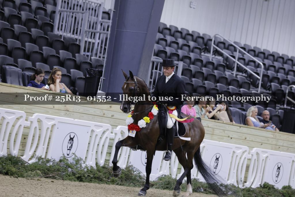 Proof 25R13_01552