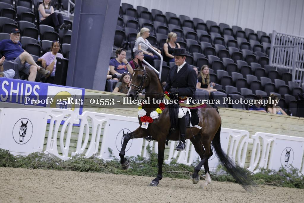 Proof 25R13_01553