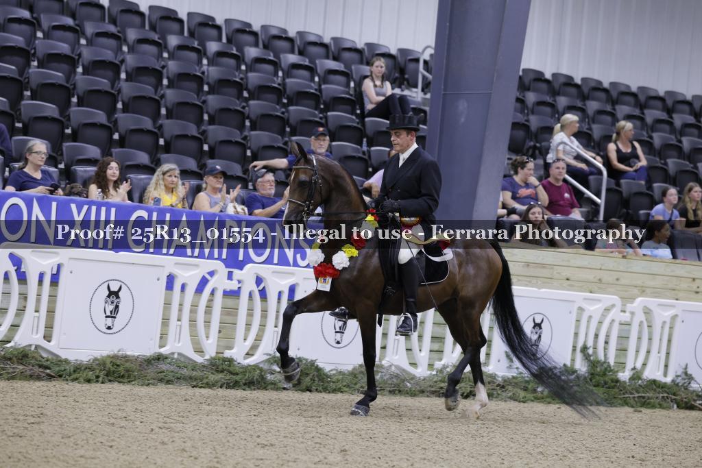 Proof 25R13_01554
