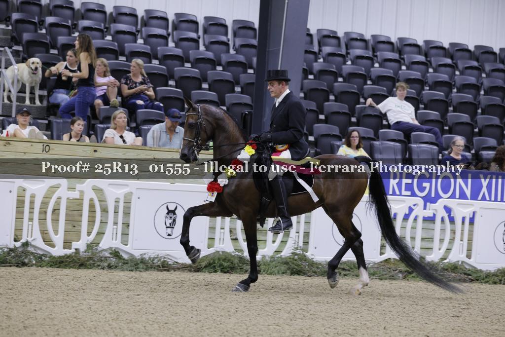 Proof 25R13_01555