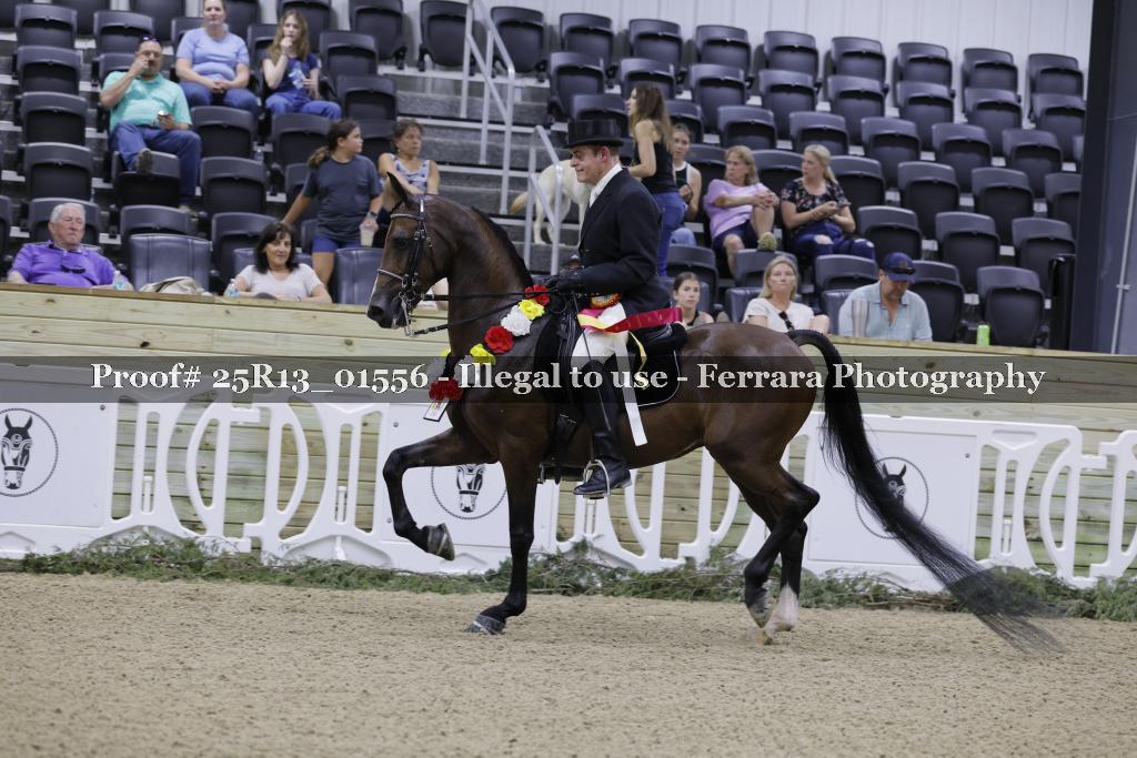 Proof 25R13_01556