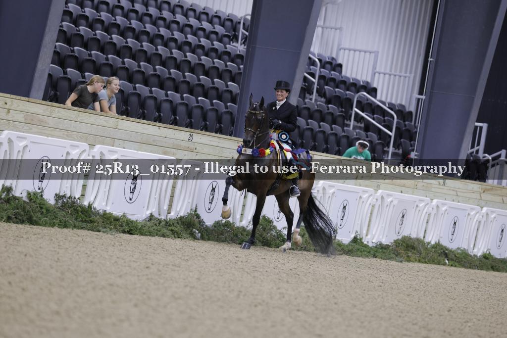 Proof 25R13_01557