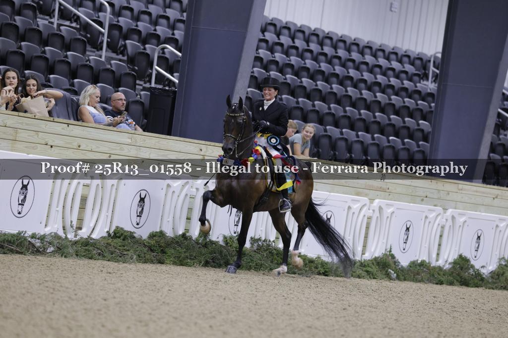 Proof 25R13_01558