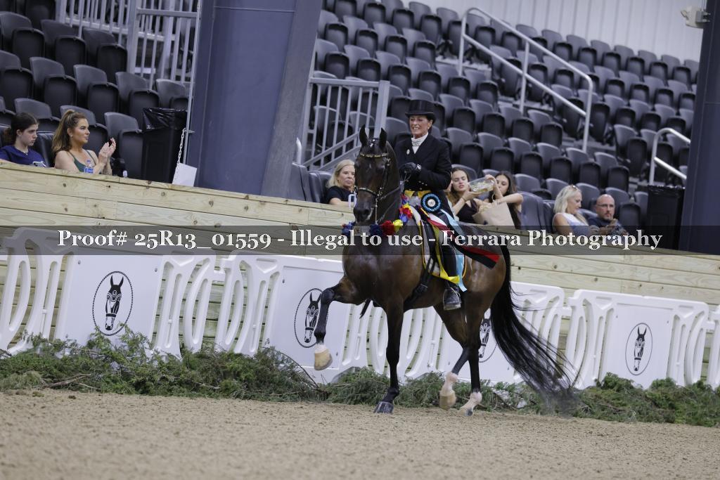 Proof 25R13_01559