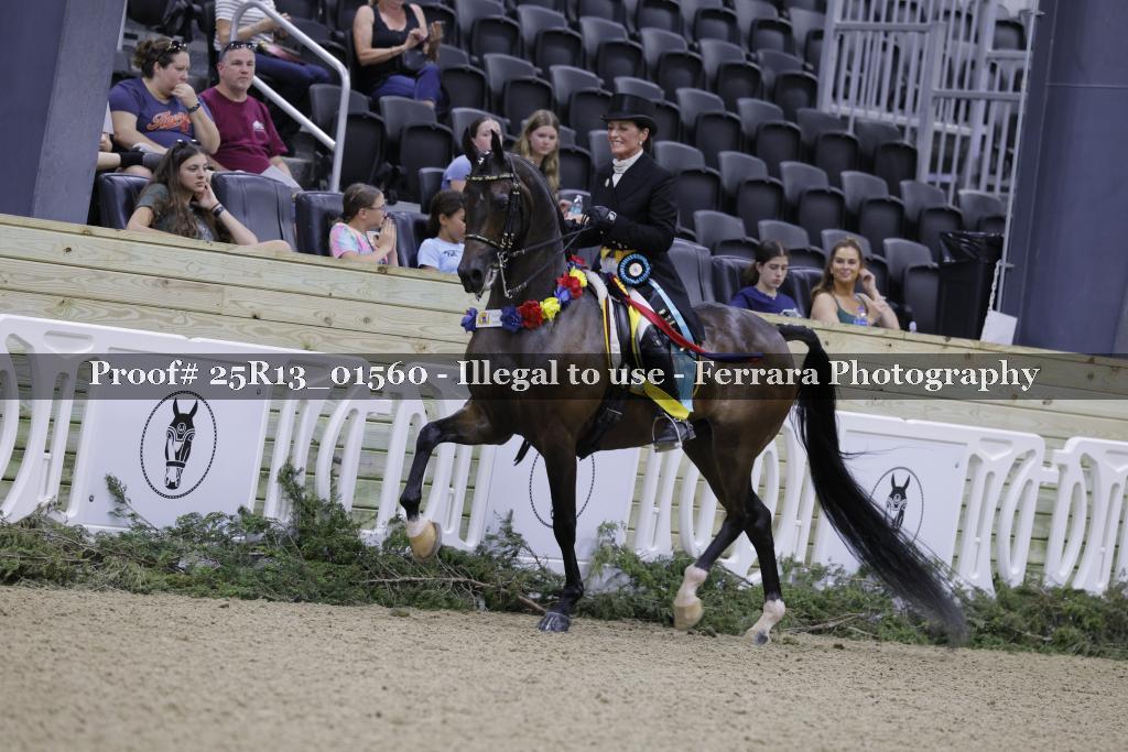 Proof 25R13_01560