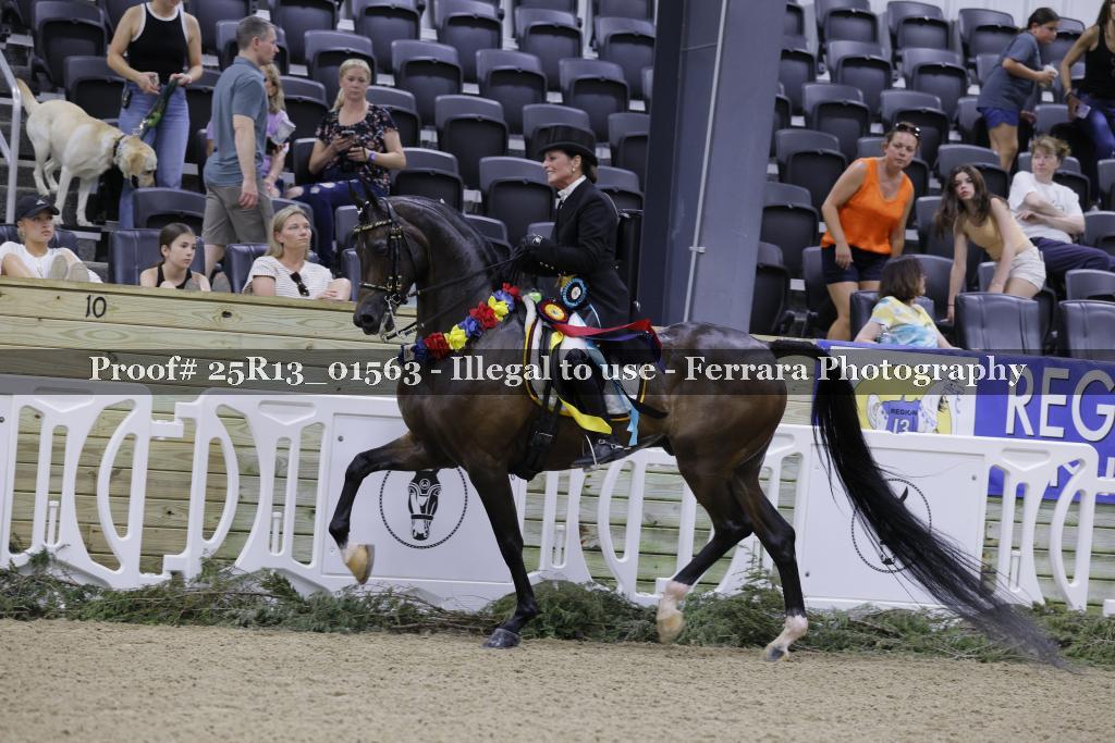 Proof 25R13_01563