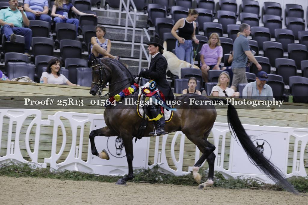 Proof 25R13_01564