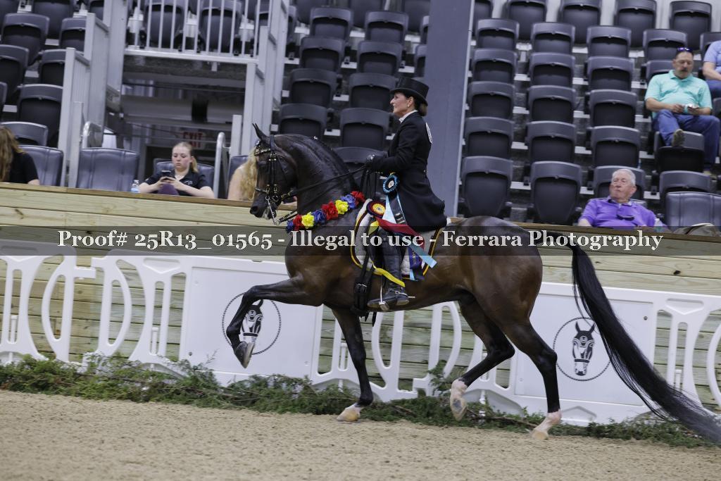 Proof 25R13_01565