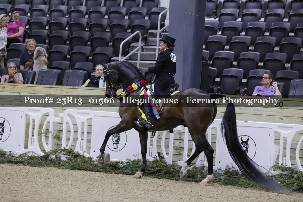 Proof 25R13_01566