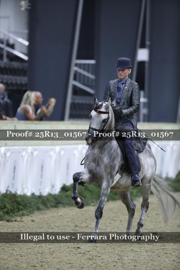 Proof 25R13_01567