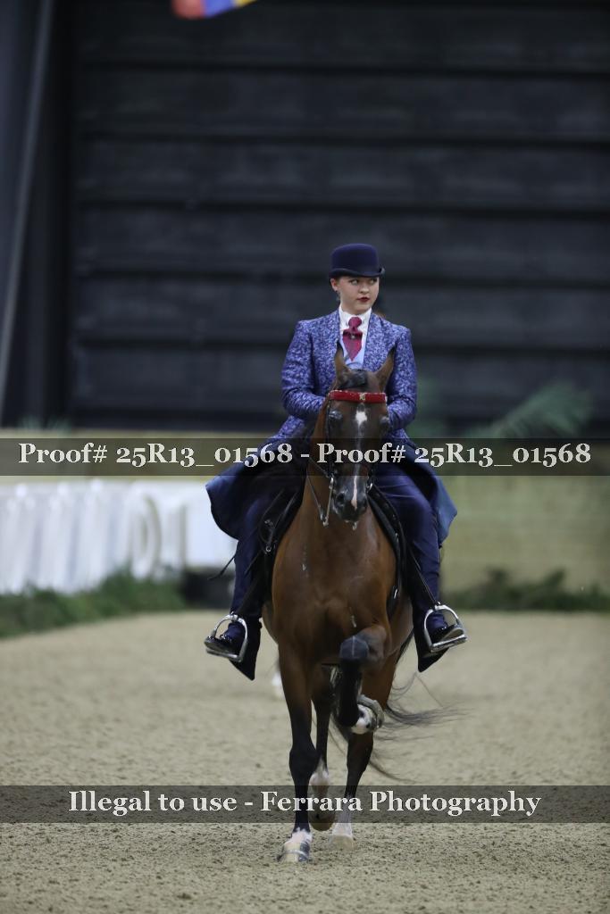 Proof 25R13_01568