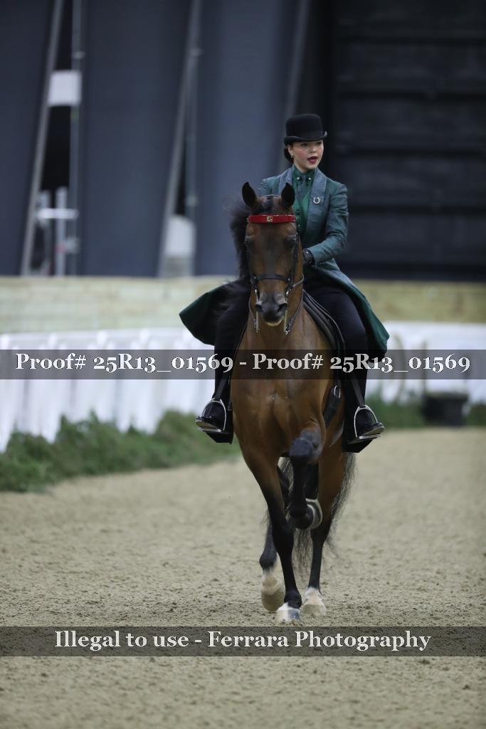 Proof 25R13_01569