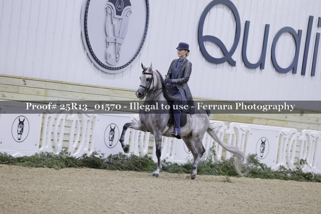 Proof 25R13_01570