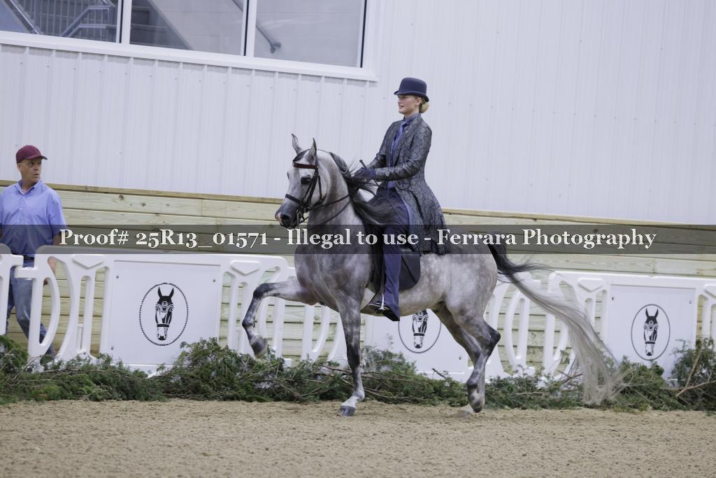 Proof 25R13_01571