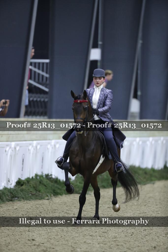 Proof 25R13_01572