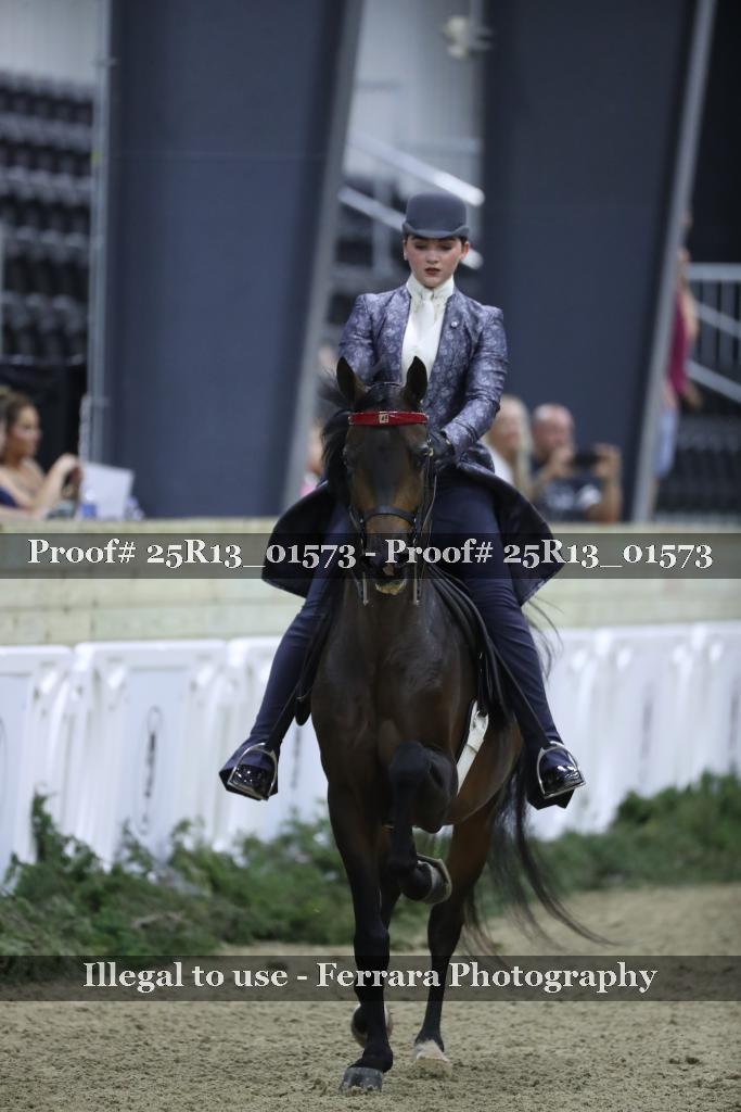 Proof 25R13_01573