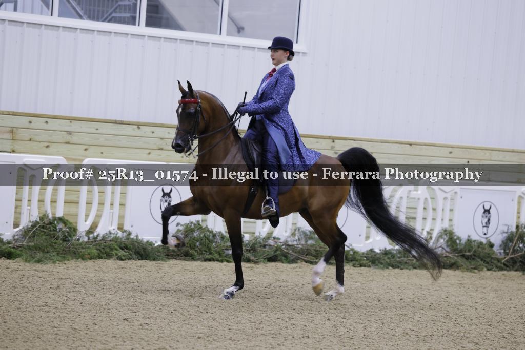 Proof 25R13_01574