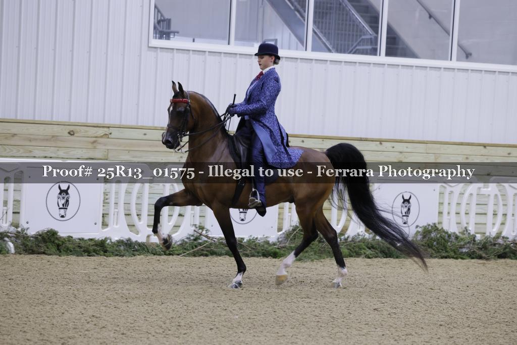 Proof 25R13_01575