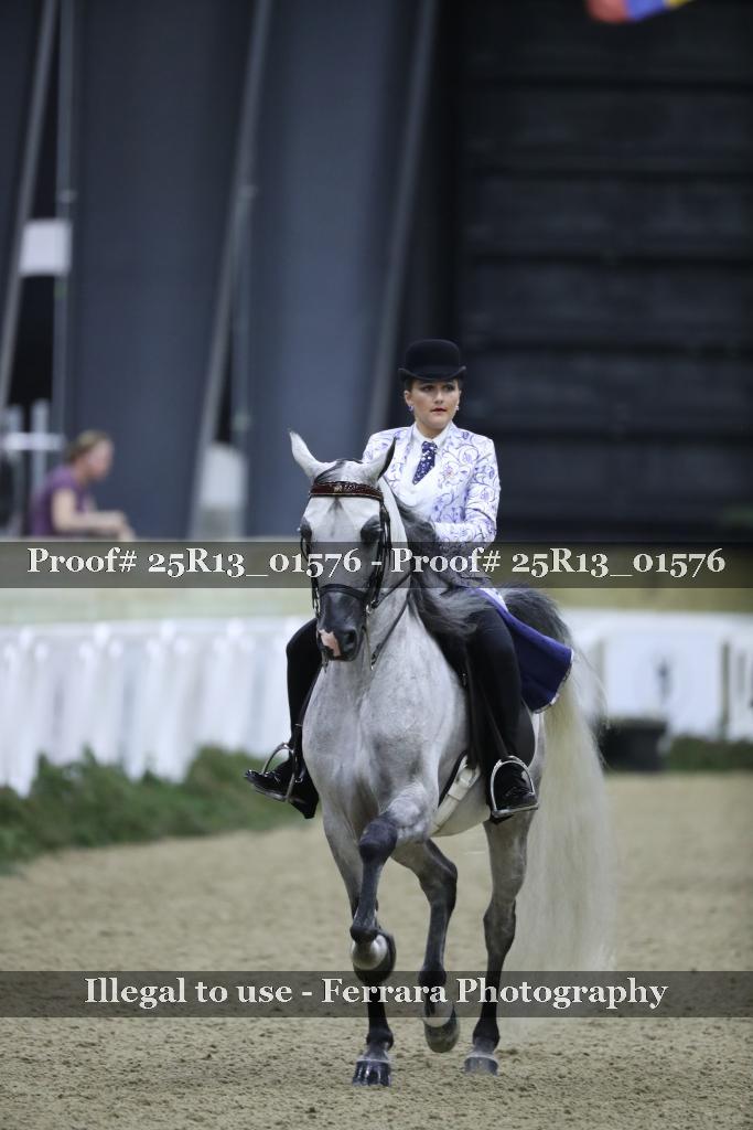 Proof 25R13_01576