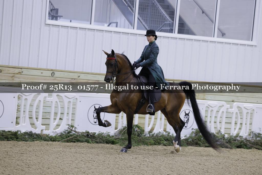 Proof 25R13_01577