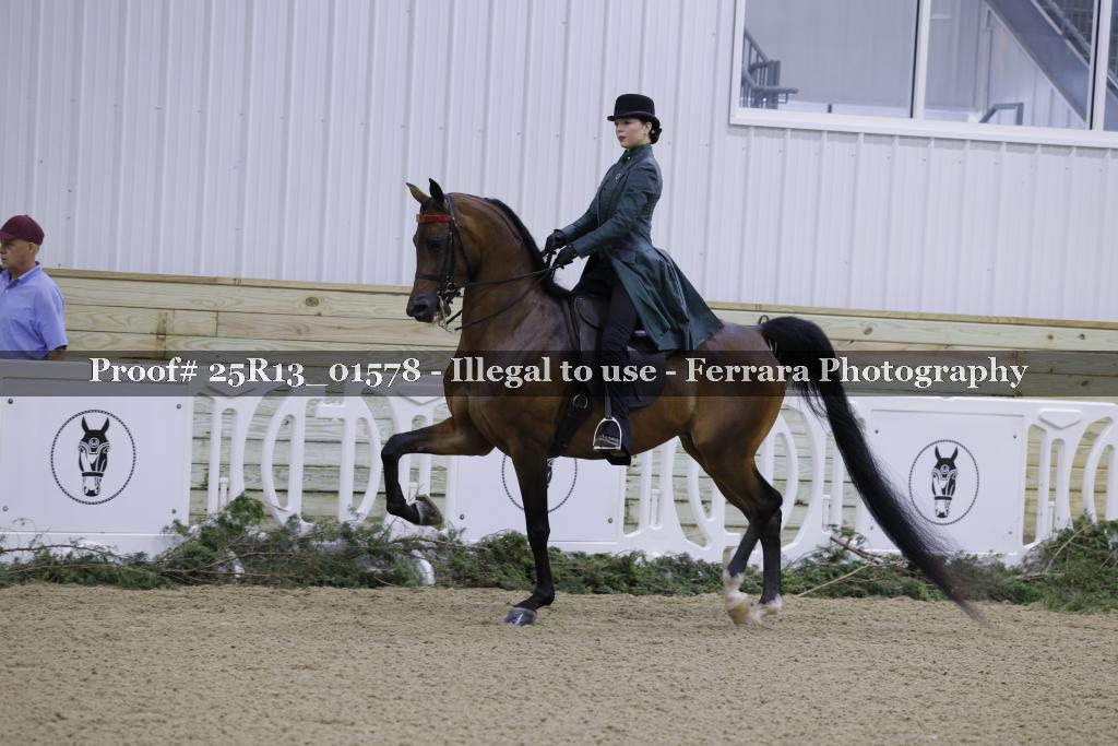 Proof 25R13_01578