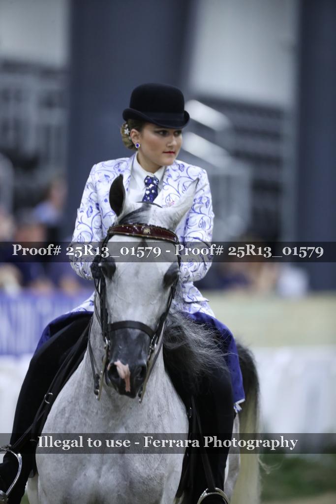 Proof 25R13_01579