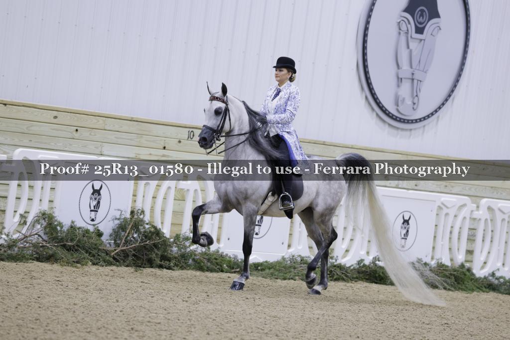 Proof 25R13_01580